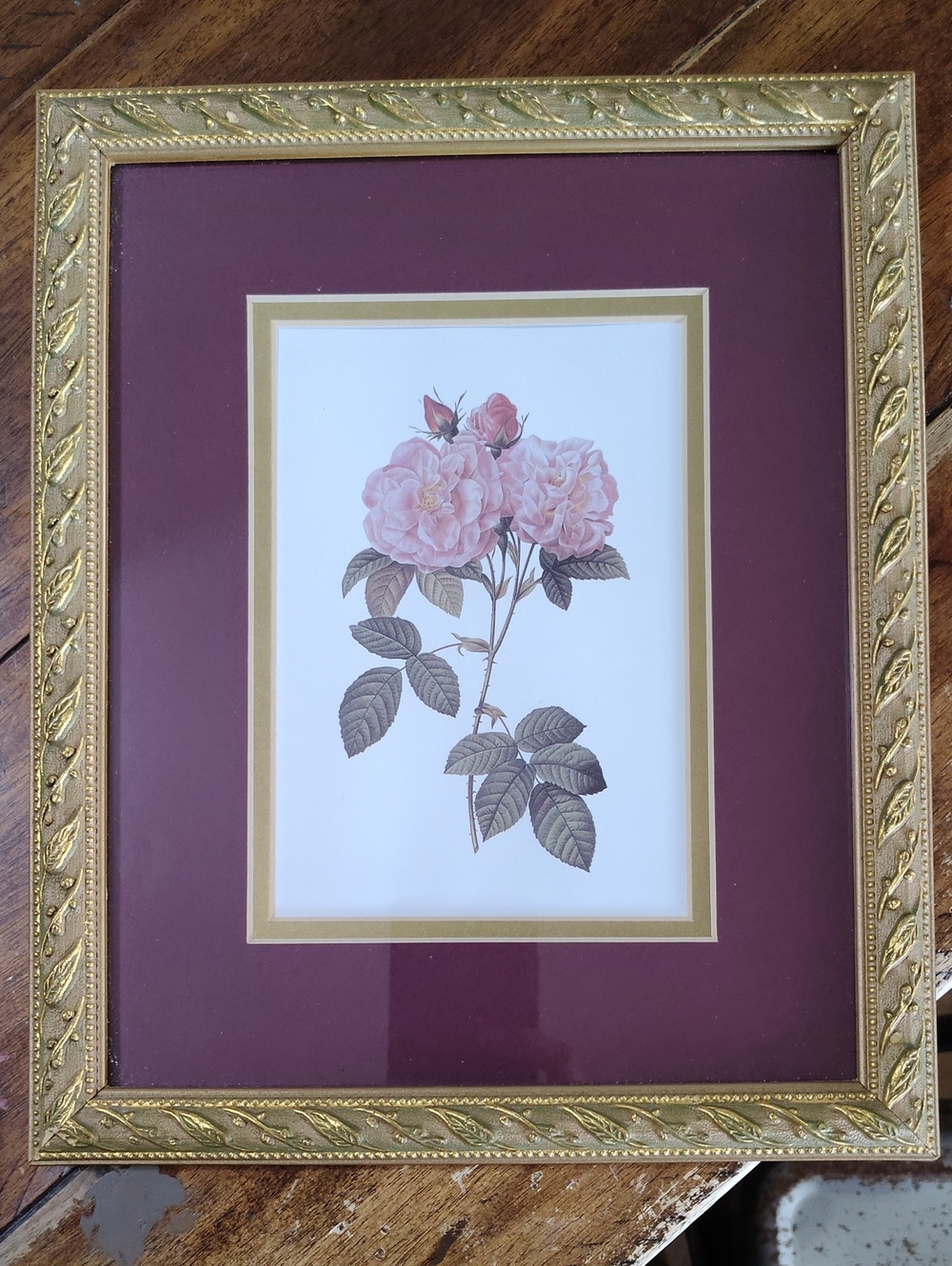 Vintage Damask Rose Botanical Print In Vintage Gold Frame